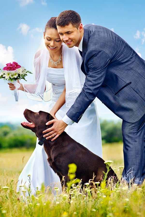 Pets in Weddings